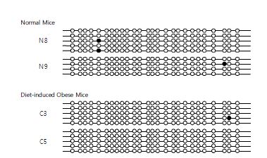 Aldh1b1 methylation pattern