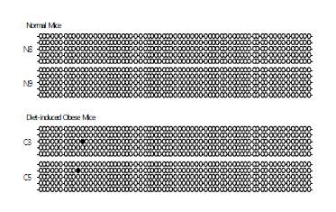 Sqle methylatioh pattern