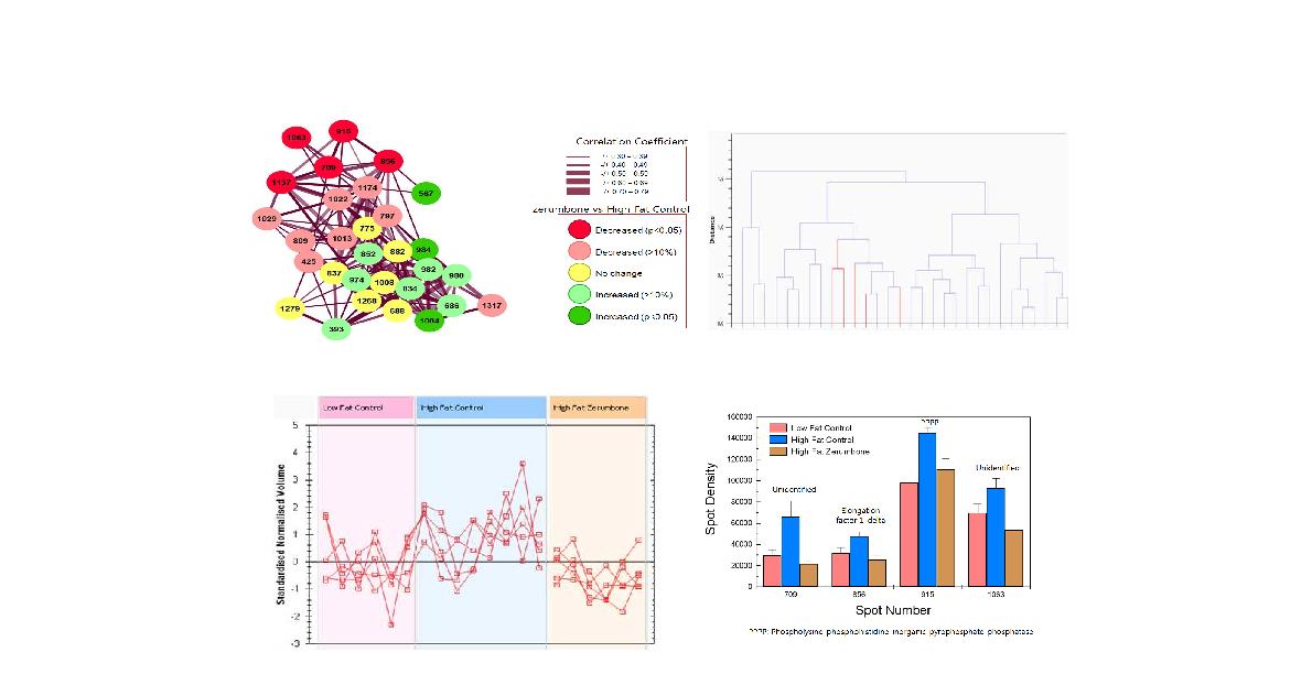 Hierarchical clustering of proteins responding to dietary gingerol