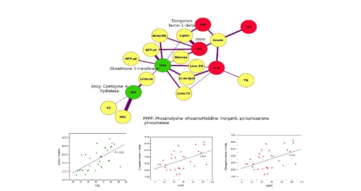 Proteins influenced by dietary zerumbone