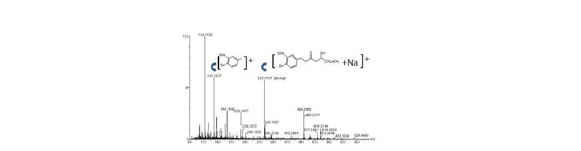 MS spectrum of 6-gingerol