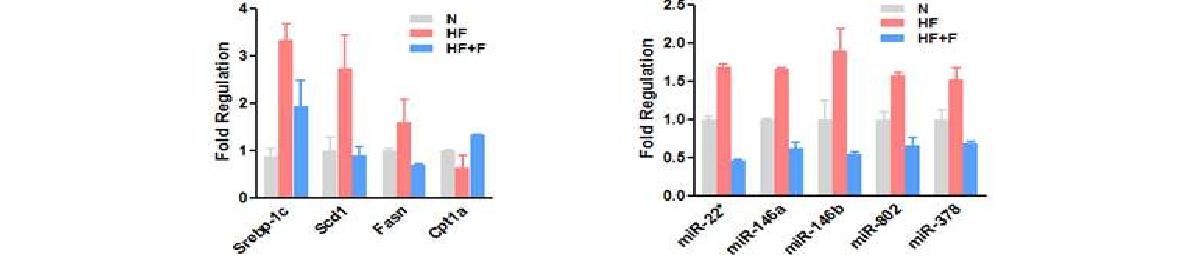 Effect of fisetin on expression of mRNA and miRNA involved in lipid metabolism in hepatocytes