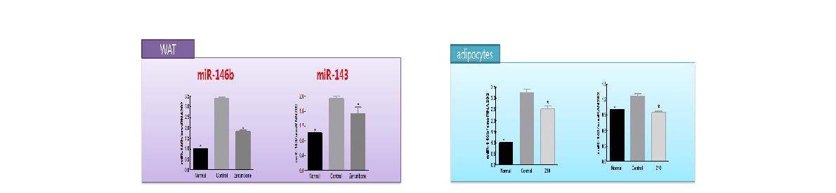 Target mRNA candidates of adipocyte and adipose tissue