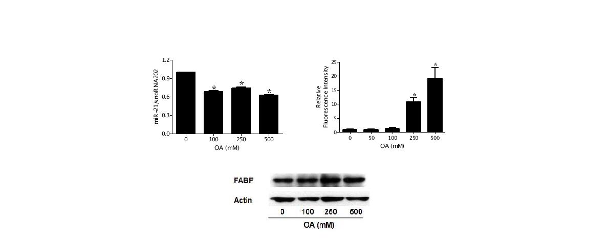 Changes in expressions of miR-21 and FABP7
