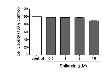 Effect of shikonin on cell viability in 3T3-L1 cell
