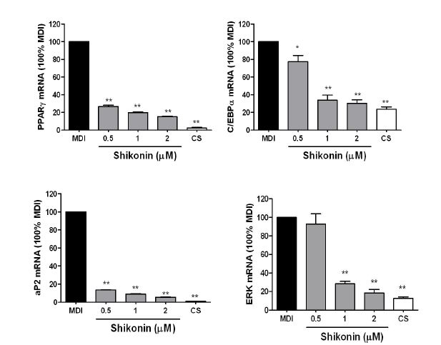 Effect of shikonin on mRNA expression involved in adipogenesis in 3T3-L1 cells