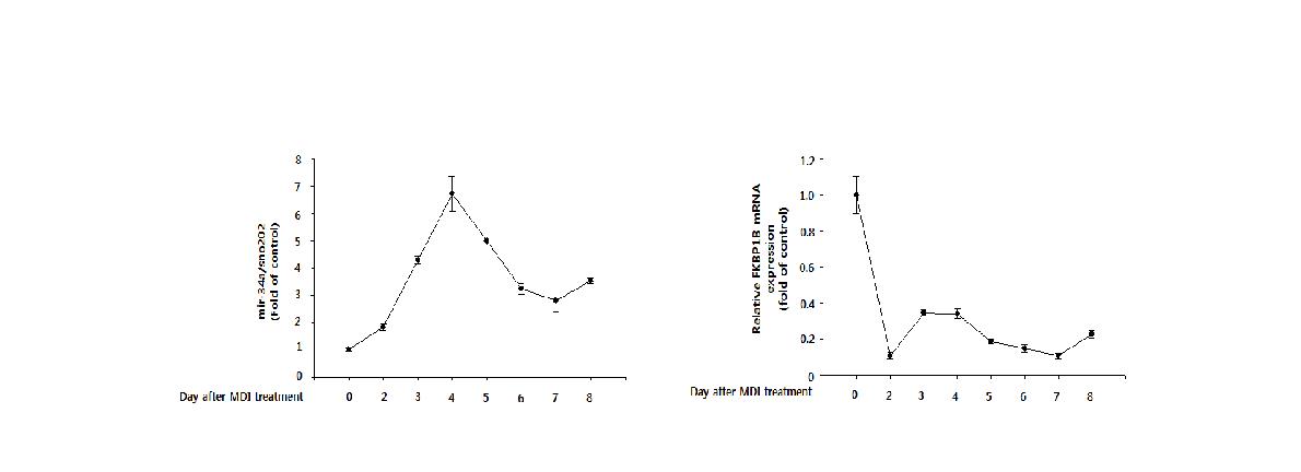 Changes in expressions of mir-34a and FKBP1B during differentiation