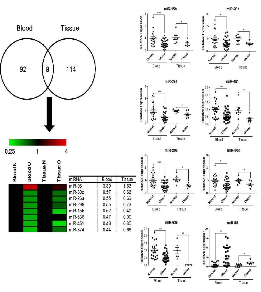 The matched miRNAs in the blood and fat tissue.