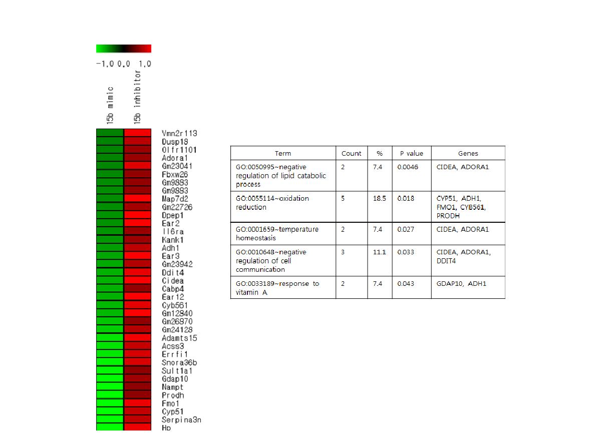 Heatmap and ontology of mRNAs regulated by mir-15b