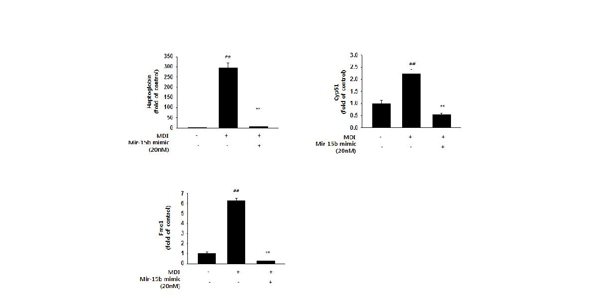 Effect of mir-15b mimic on haptoglobin, cyp51, and Fmo1 mRNA expression