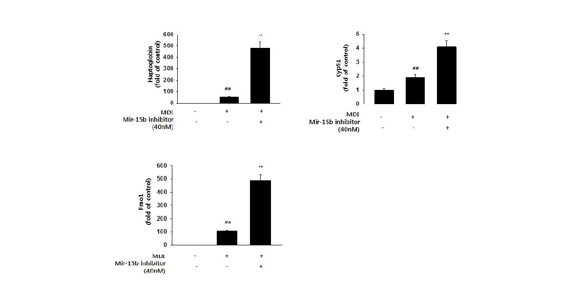 Effect of mir-15b inhibitor on haptoglobin, cyp51, and Fmo1 mRNA expression