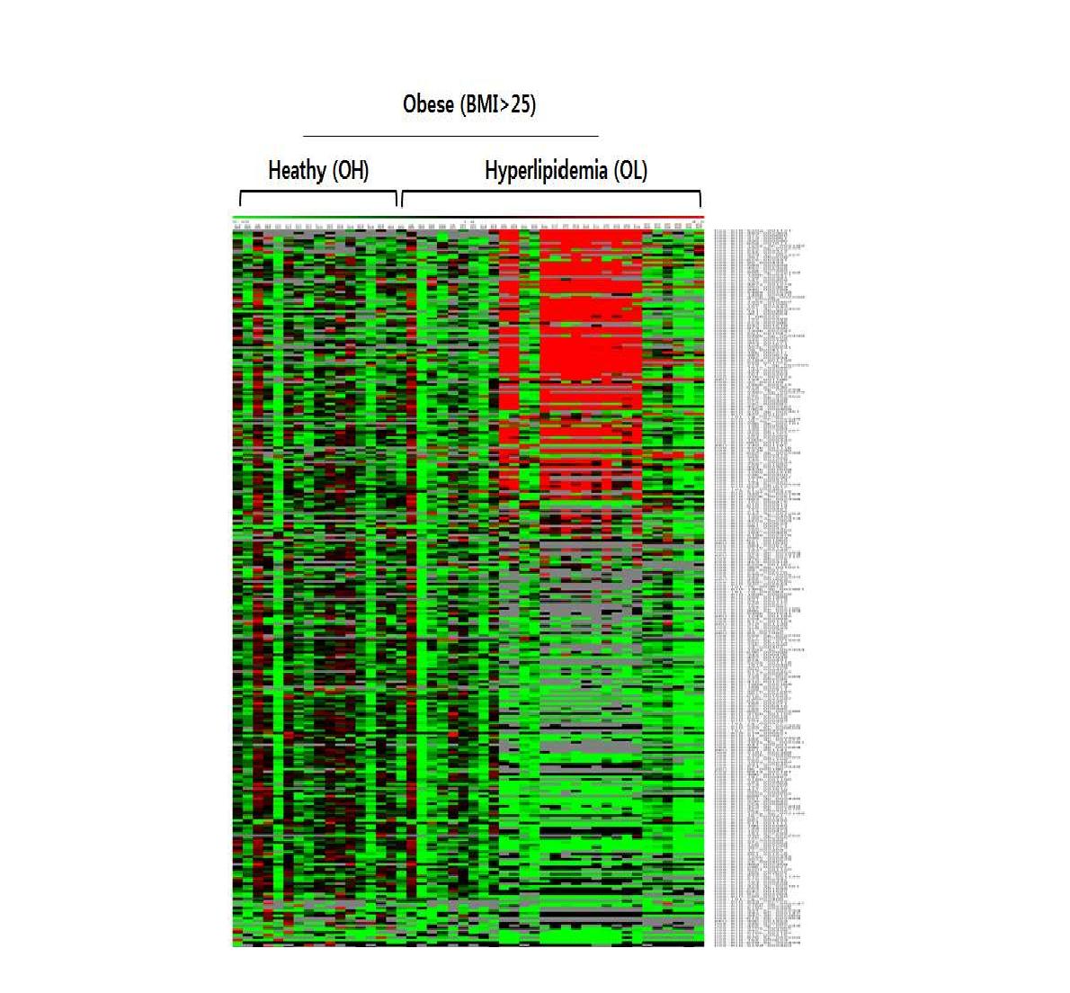 Heatmap of circulating miRNAs in OH and OL groups. Red, increased expression; green, decreased expression; black, mean level equal to 1.