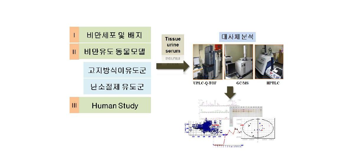 비만관련 대사체 분석 실험 디자인