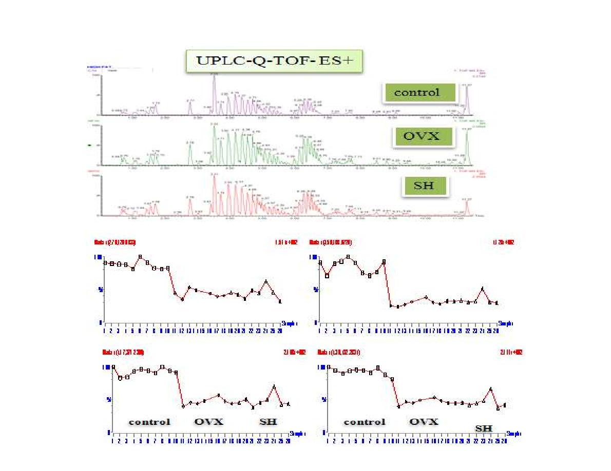 UPLC-Q-TOF를 이용한 OVX 모델 쥐의 혈청 대사체 분석