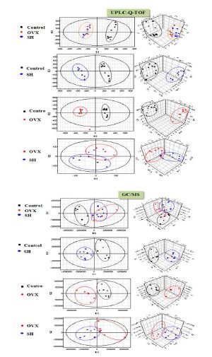 UPLC-Q-TOF와 GC-MS를 이용한 OVX 모델 쥐의 혈청 대사체의 PLS-DA 분석