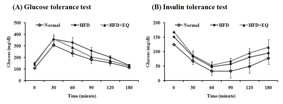 Equol의 glucose와 인슐린 항상성에 미치는 영향