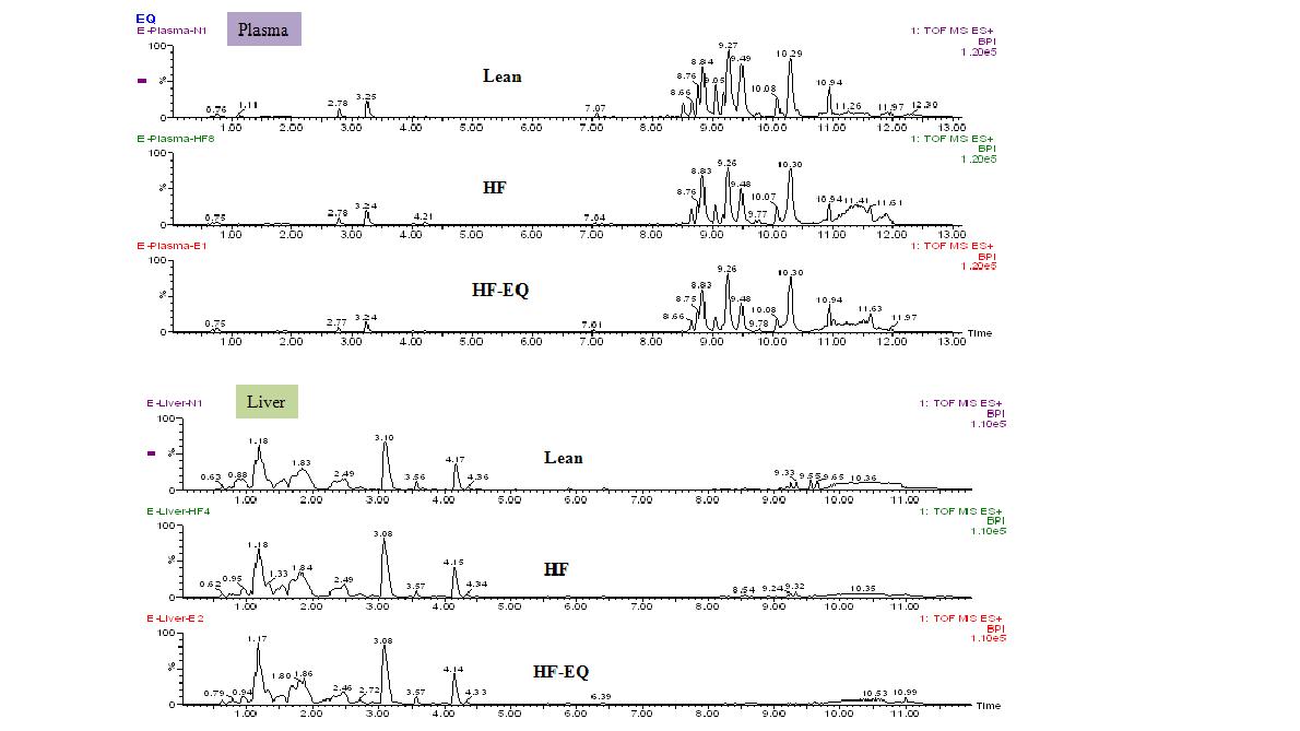 그림. 고지방식이 비만군(HF), 고지방식이 비만쥐에 equol 투여군(HF-EQ), 정상식이를 한 정상군(Lean)의 혈액 및 간 대사체 프로파일