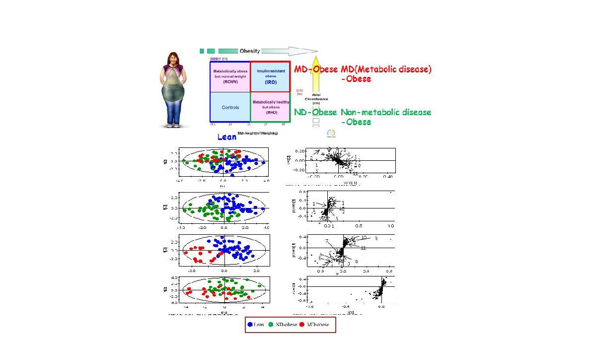 한국인 비만여성의 혈액 대사체의 특성 조사
