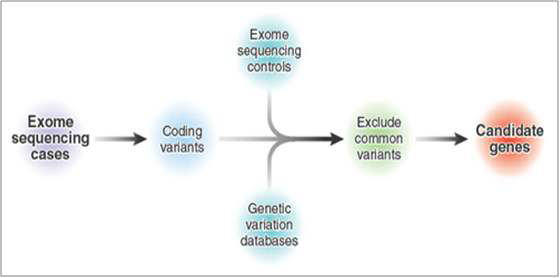 Exome sequencing 을 적용한 유전체 연구방법