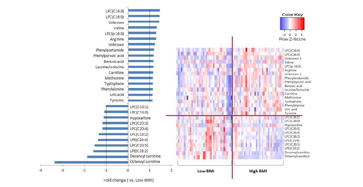 동정된 비만관련 혈액 대사체의 fold change(vs. low BMI)와 heat map 결과