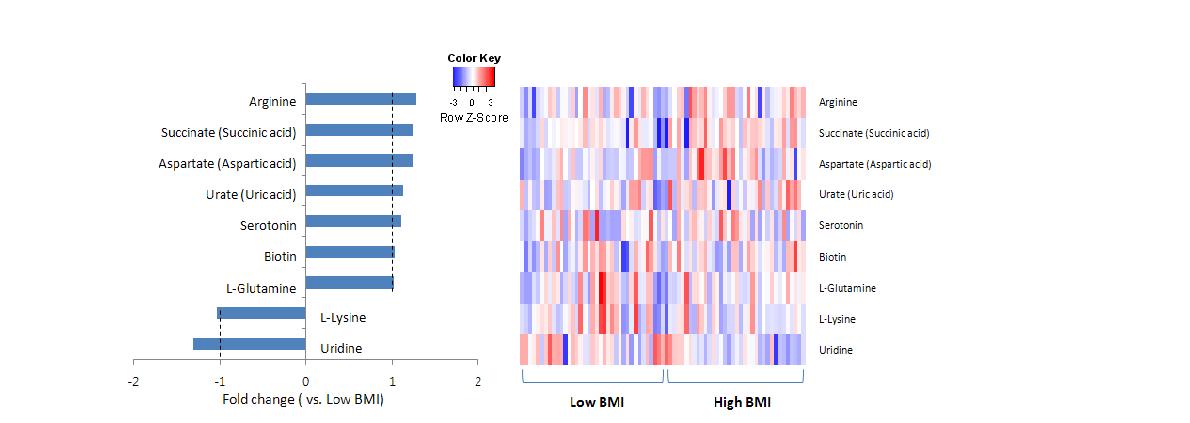 BMI, BMR 공통유전자와 관련된 대사체 fold change(vs. low BMI)와 heat map
