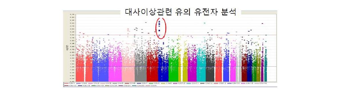 정상체중의 대사이상군과 비만이나 정상대사를 나타낸 군에 대한 분석결과