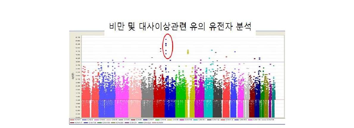 비만과 대사이상 관련 유전자 분석결과