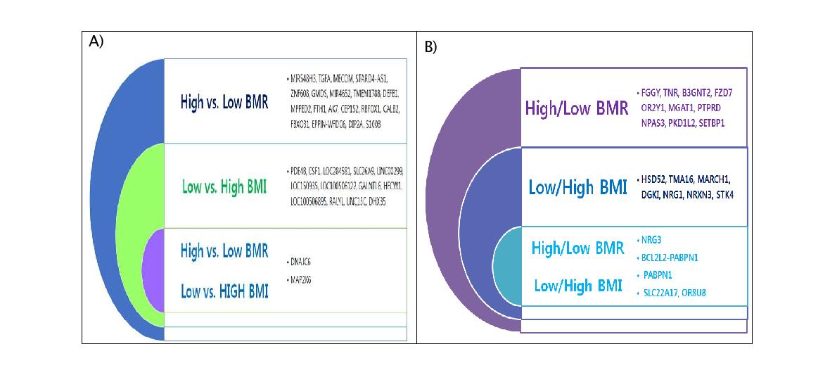 소아비만(A) 및 성인비만(B)에서의 BMR/BMI 공통유전자