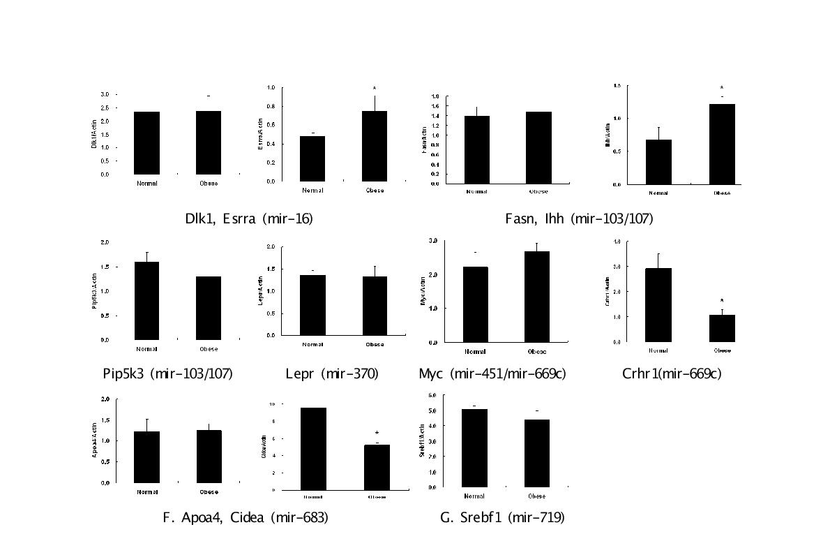 miRNA target gene expression