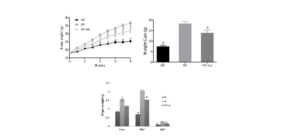 Body weight and fat tissue weight