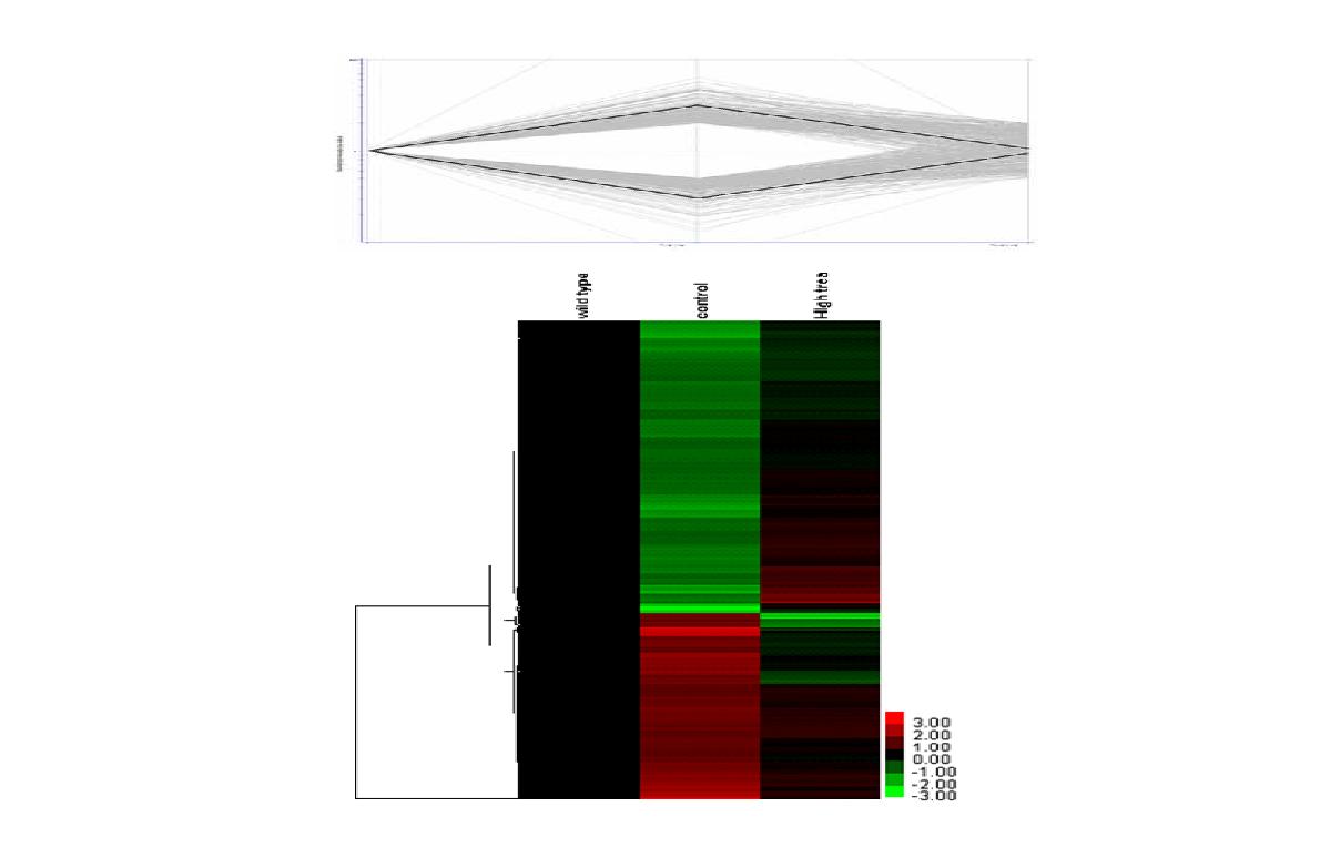 Heat map of mRNA expression by microarray