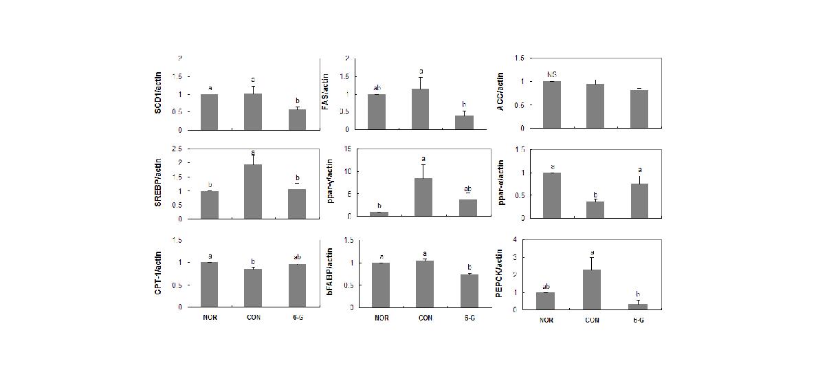 Effect of 6-gingerol on mRNA expression