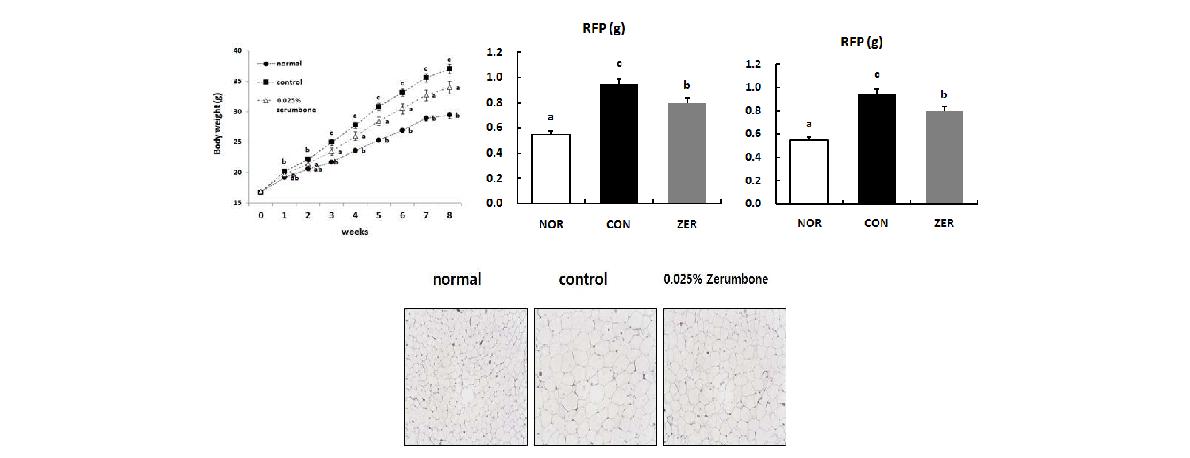 Effect of zerumbone on body weight, fat mass and histology of adipose tissue