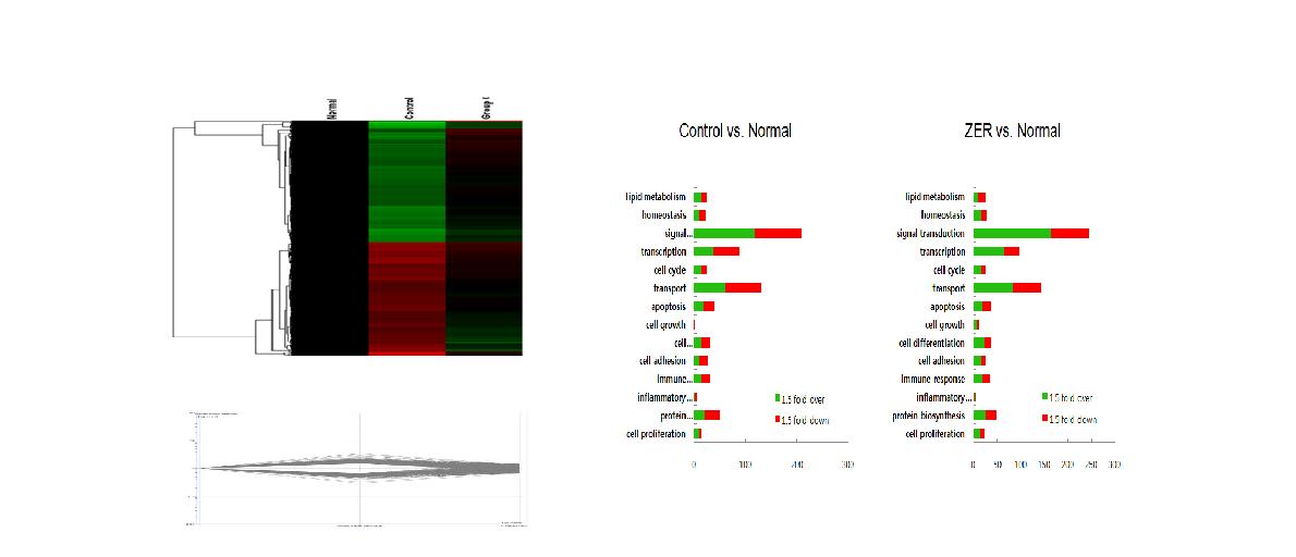 Heat map of mRNA