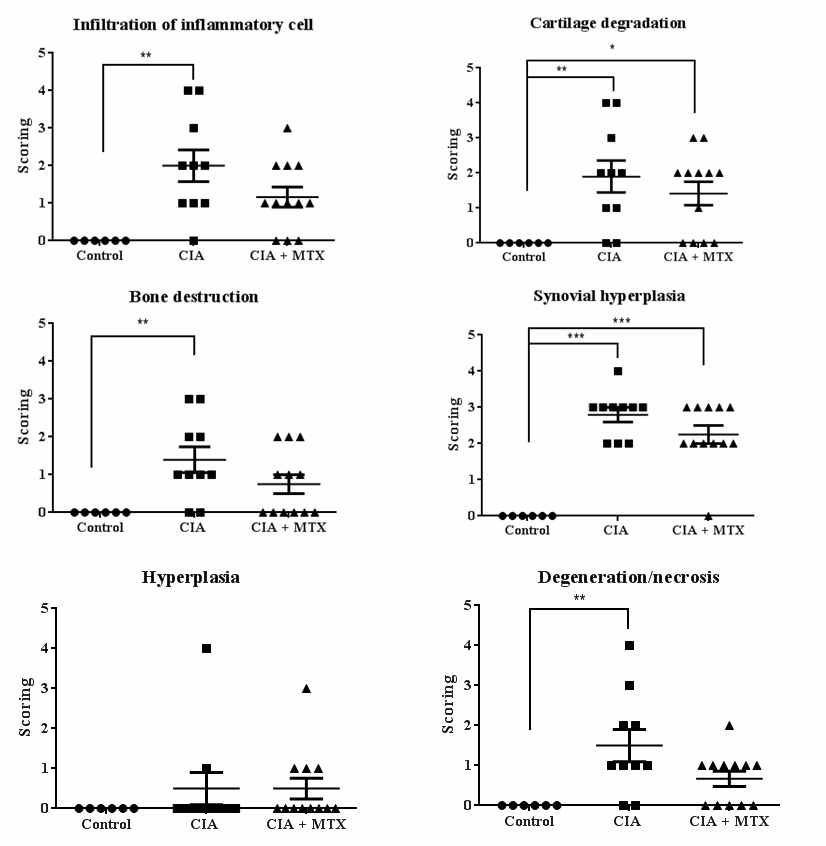 Pathological scores in hind knee joint of rats treated with collagen. (A) infiltration of inflammatory cells; (B) cartilage degradation; (C) bone destruction; (D) synovial proliferation; (E) hyperplasia/hypertrophy; (F) degeneration/necrosis Values are shown as mean ±SE.