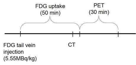 PET-CT 영상 획득 프로토콜