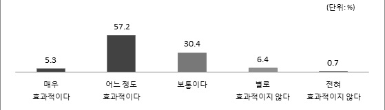 빅데이터의 범죄감소 효과성