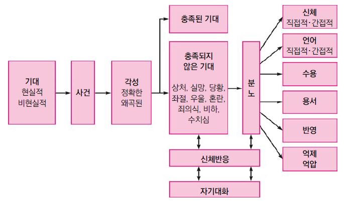 완전한 분노모델