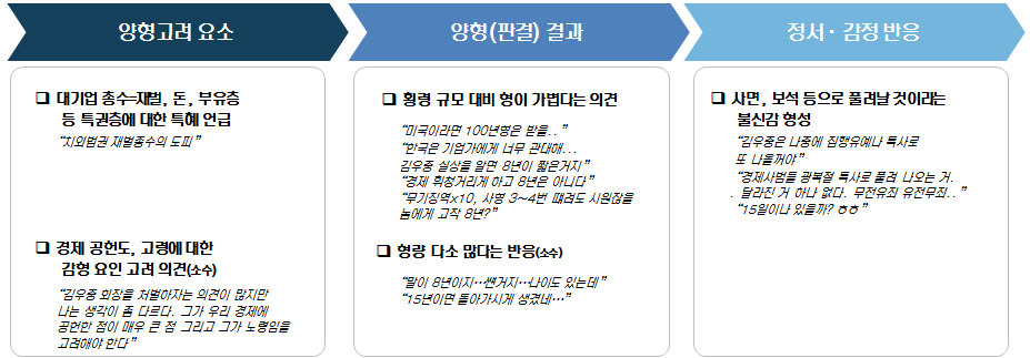 대우 김우중회장 횡령･배임사건 관련 버즈(사례)