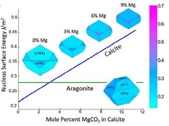 G. Ceder group에서 제시한 Mg 불순물 양에 따른 Calcite, Aragonite 두 상의 표면에너지 변화