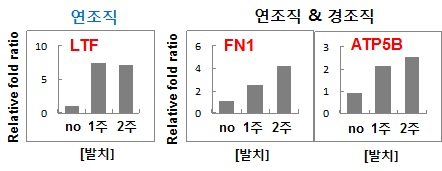 qPCR을 통한 연조직내 발현 변화 검증