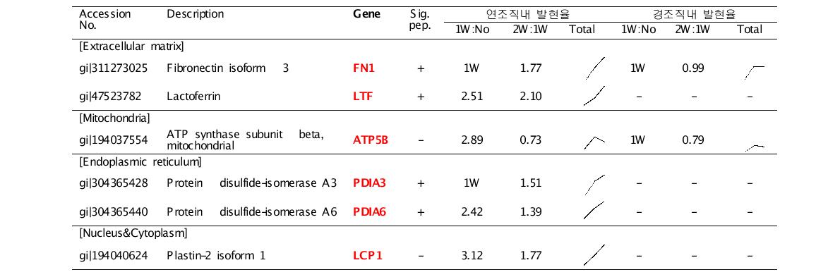 우선선정된 차등발현 단백질의 분석정보