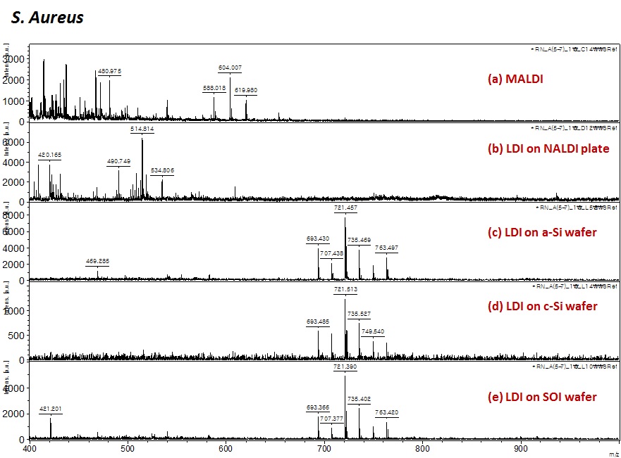 박테리아에서 추출한 lipids를 MALDI-MS와 다양한 나노구조체를 적용한 시료판에서 수행한 LDI-MS 스펙트럼