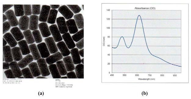 상업용 금 나노입자의 (a) TEM 이미지 및 (b) 광 흡수 스펙트럼