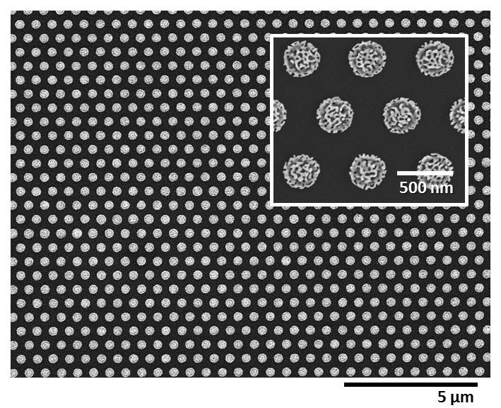 나노공정기술을 통하여 합성된 3차원 porous Au nanodisk의 SEM 이미지