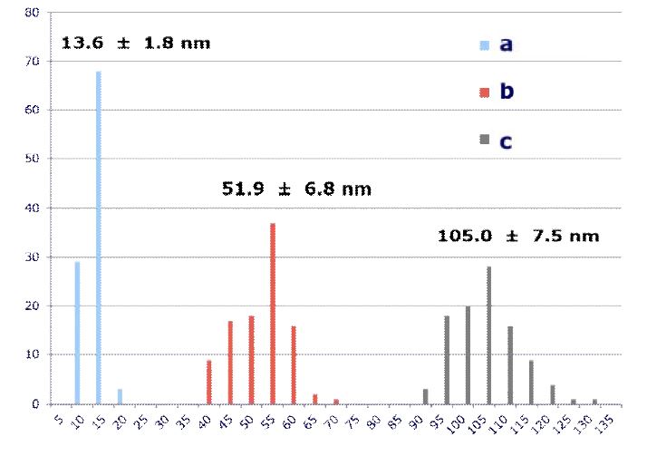 SEM 데이터에서 얻어진 금 나노입자의 사이즈별 size distribution