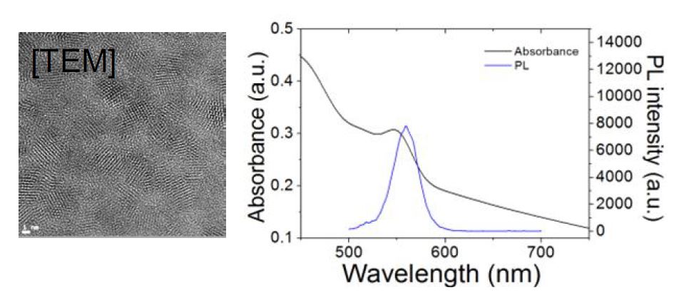 분석에 사용된 CdSe/ZnS 나노입자의 TEM 사진 및 UV-Vis absorption 및 PL측정을 통해 광특성을 확인한 결과