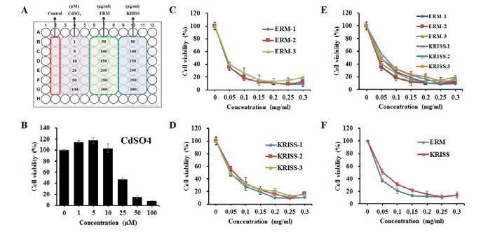 HepG2 cells에 처리된 SiO2 나노입자의 농도에 따른 세포 생존률 분석.