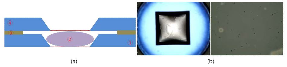 질화규소 박막 구조를 이용하여 주사전자현미경 내 액상 환경 구현을 위한 개략도(a)와 나노입자를 포함한 수용액이 포함된 액상셀 (liquid cell)의 광학현미경 사진