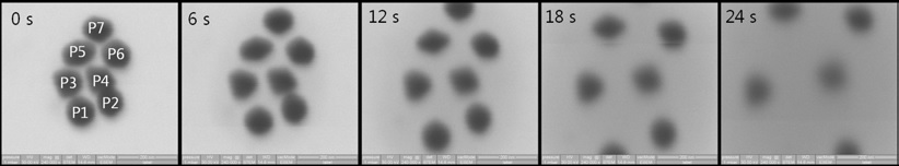 물속에 분산된 100 nm 크기를 갖는 금나노입자의 주사전자현미경 관찰: 시간에 따른 이미지의 변화